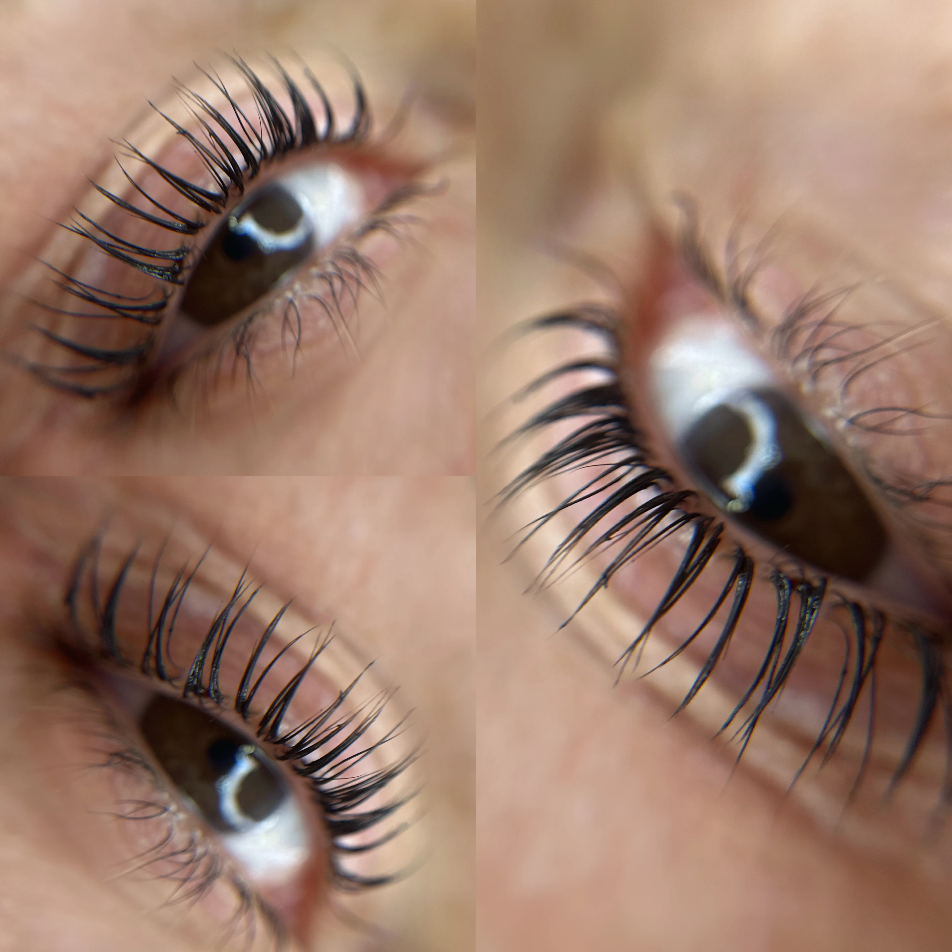 Atelier Lash lift